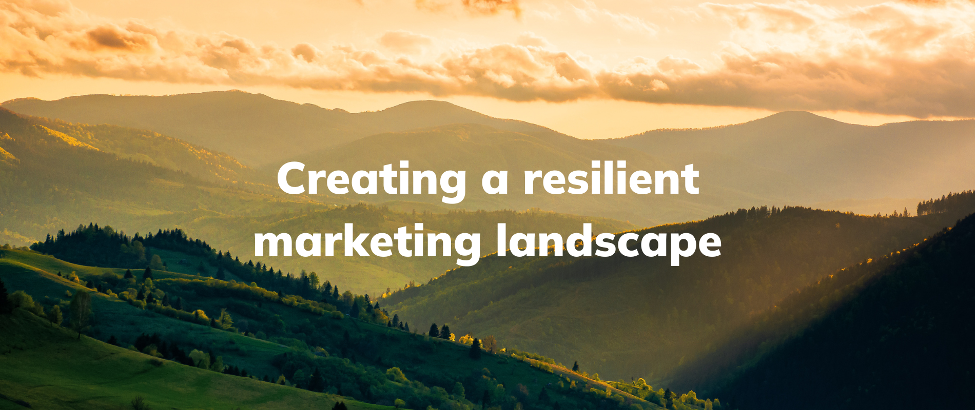 Creating a resilient marketing landscape